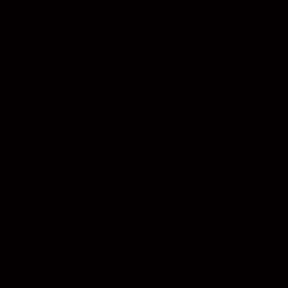 kadenza2007